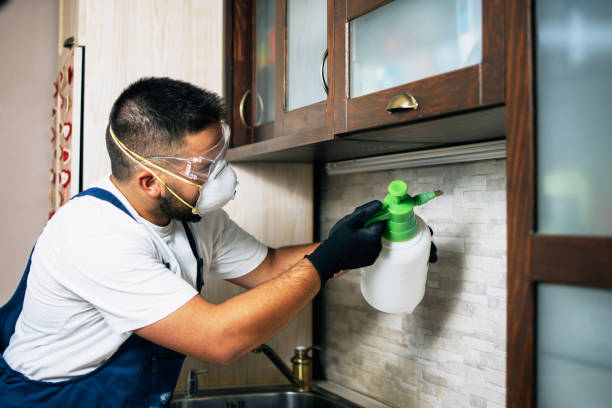 Best Emergency Pest Control  in Santa Clara, UT