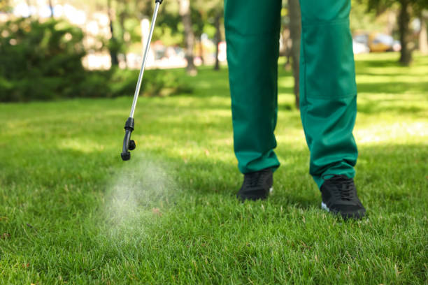 Best Pest Removal Services  in Santa Clara, UT