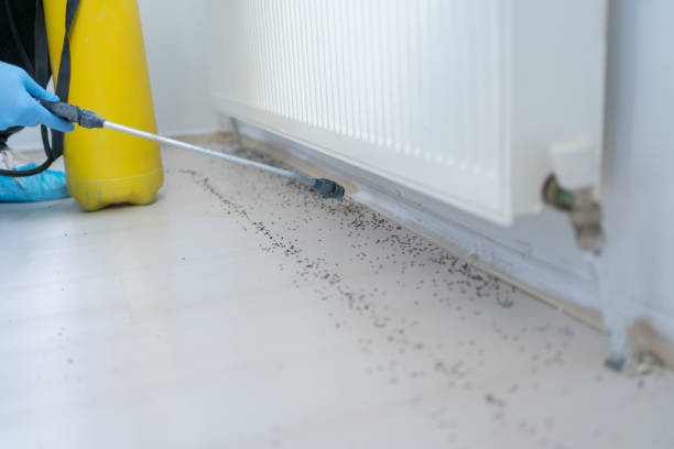  Santa Clara, UT Pest Control Pros