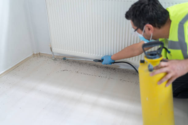 Best Bed Bug Extermination  in Santa Clara, UT